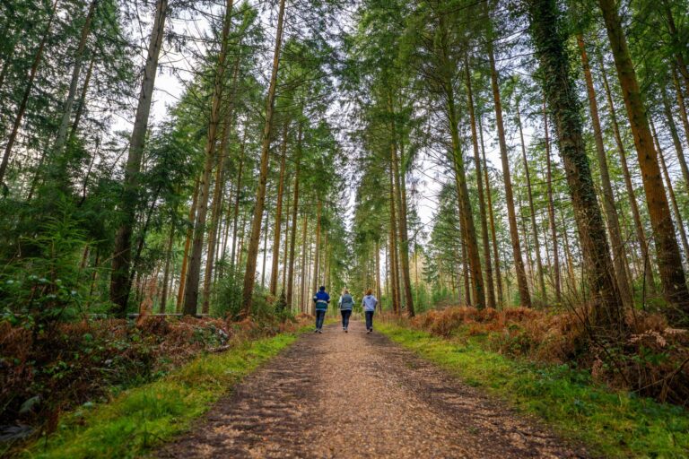 nature and mental health