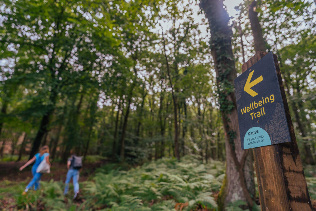 Forestry England