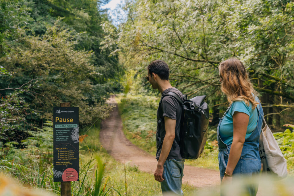 Photo credit Forestry England