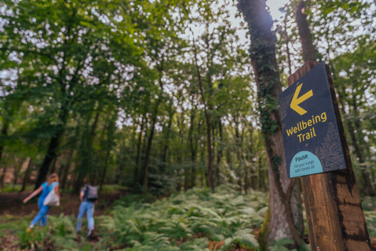 Forestry England