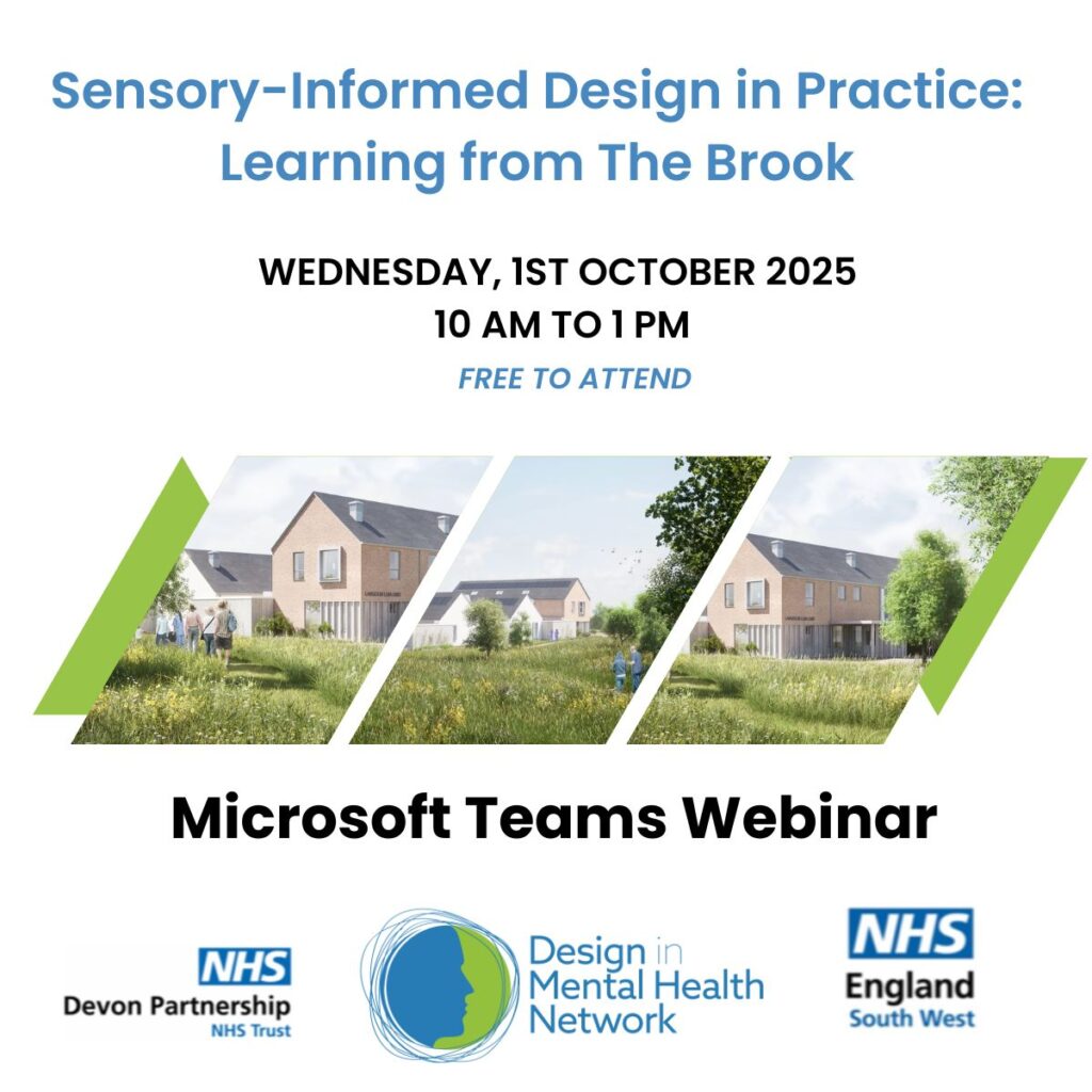 DIMHN The Brook Webinar (3)