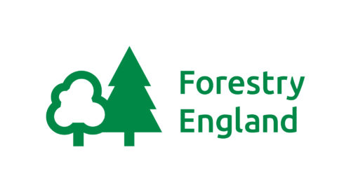 Print Forestry England Logo